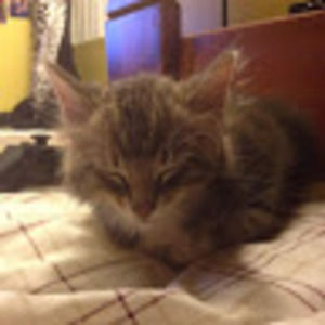 Meet your Posher, Guadalupe